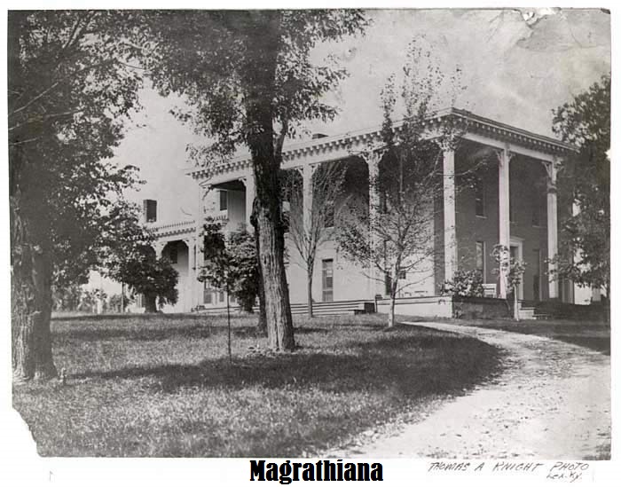 00  Magrathiana paint